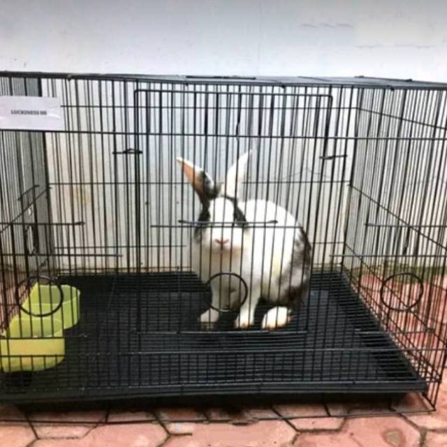 kandang kotak besi kandang hewan kandang burung kucing kelinci