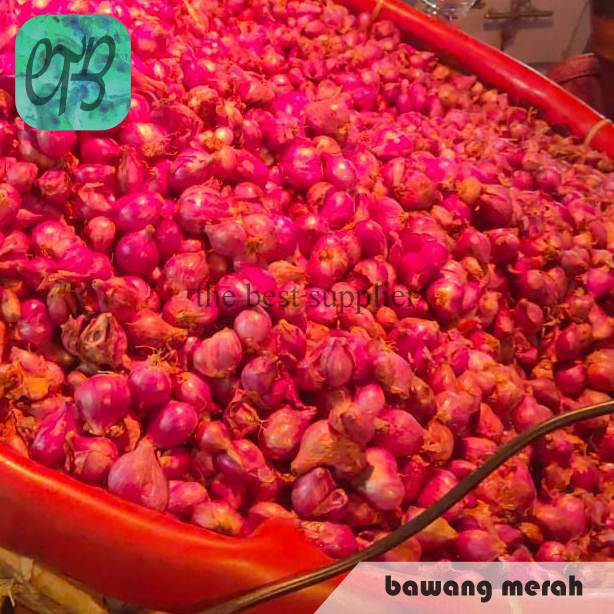

Bawang Merah Probolinggo Segar
