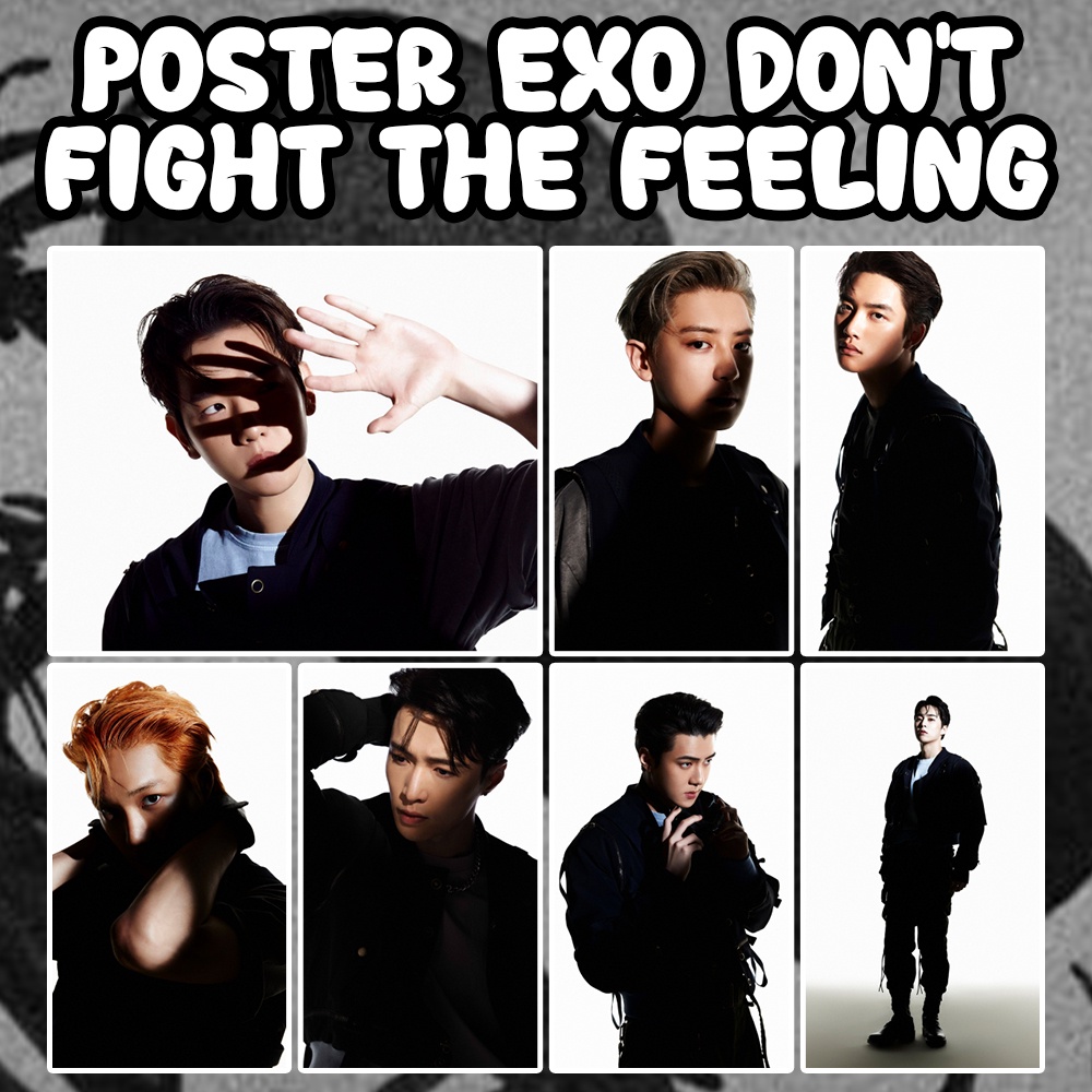 Poster EXO DONT FIGHT THE FEELING | Poster Kpop A4 A5 A6 Murah Murah (Part E)