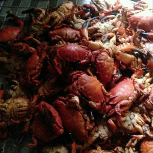 

KEPITING KUKUS