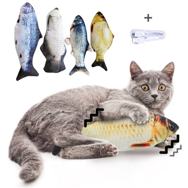 cat with fish toy