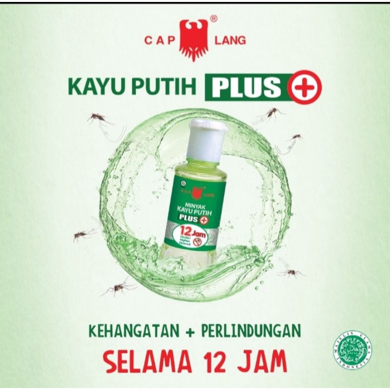 minyak kayu putih plus