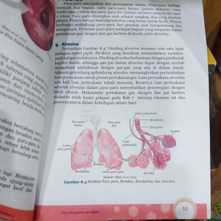 Harga Buku Paket Ipa Kelas 8 Semester 2 Kurikulum 2013 Revisi 2017 Terbaru Juli 2021 Biggo Indonesia