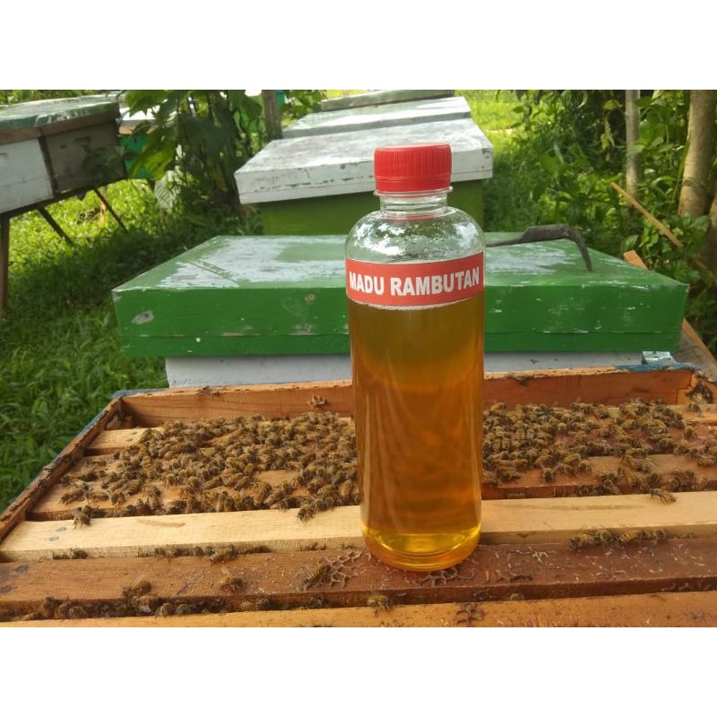 

madu rambutan asli murni