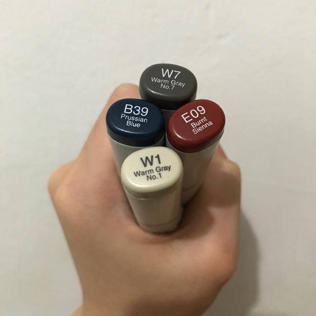 

COPIC Sketch W1 W7 B39 E09
