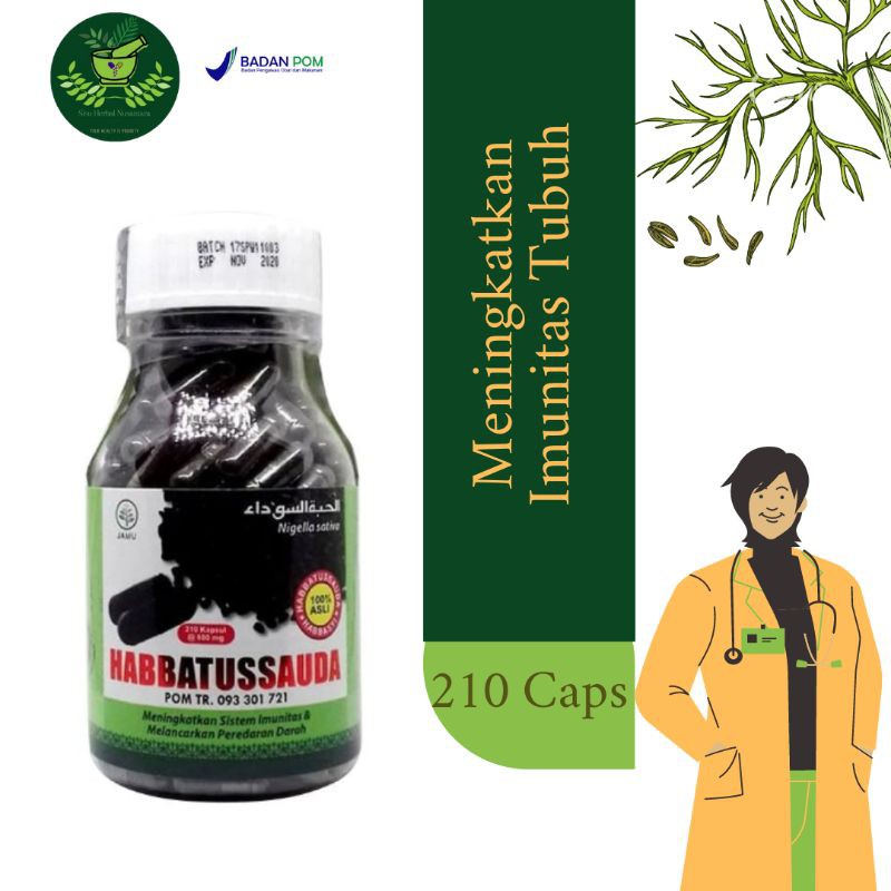 HABBATUSSAUDA Herbal Niaga Utama HNU 210 Kapsul | Habatusauda