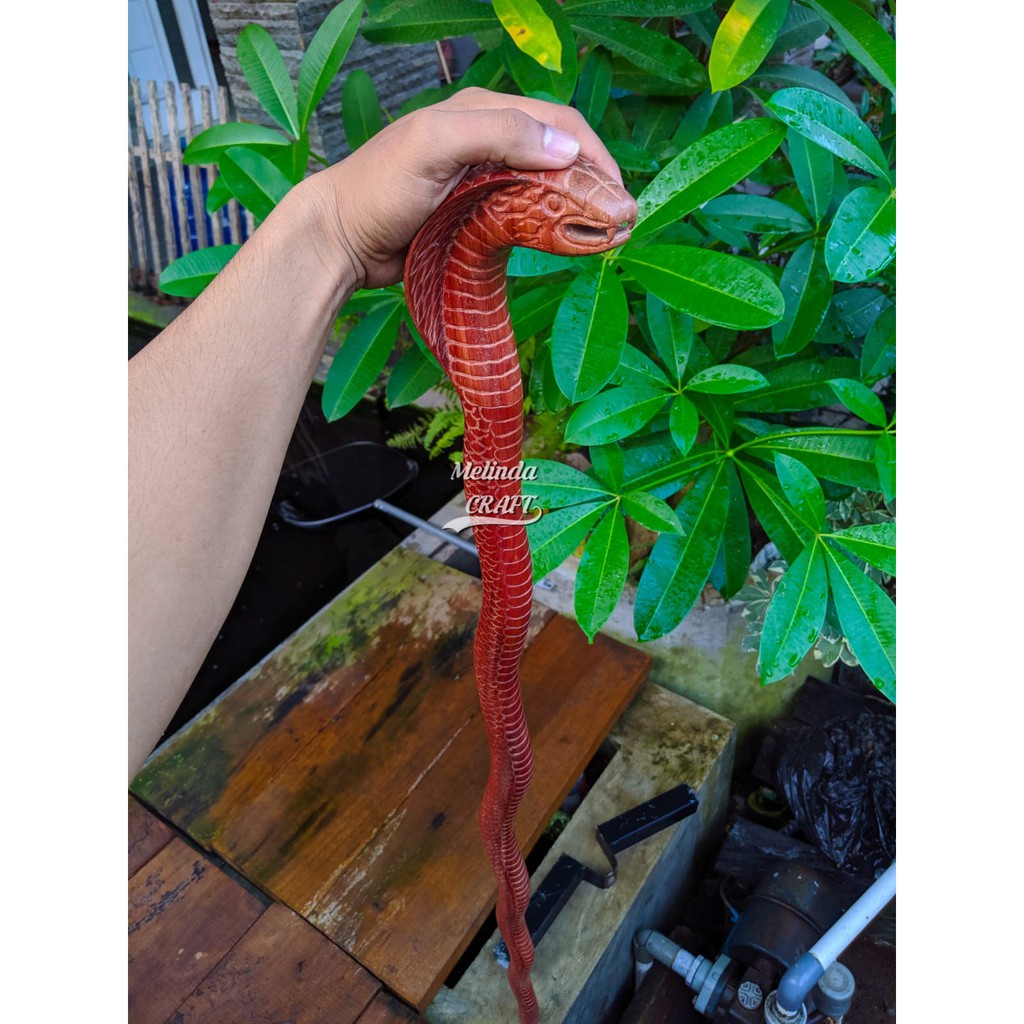 Tongkat kayu galih nagasari ukir cobra