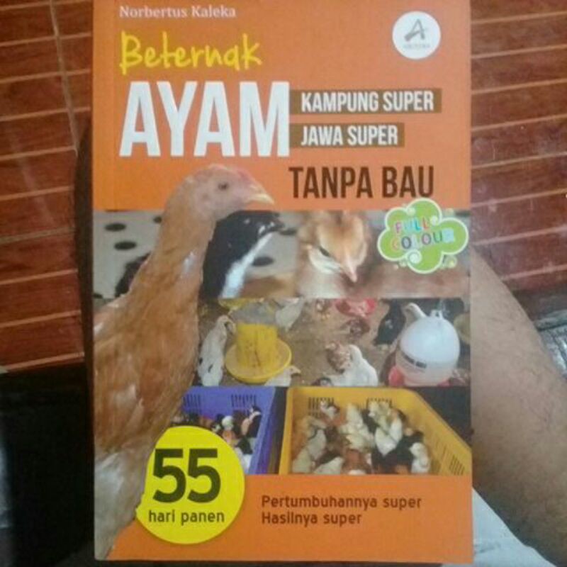 

Beternak AYAM Kampung Super,Jawa Super TANPA BAU - Bekas Pakai.