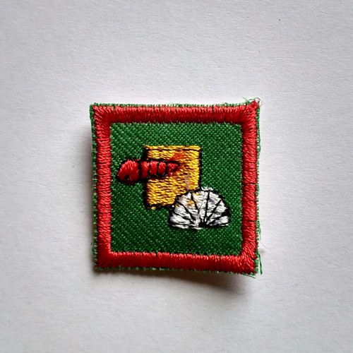 TKK Penggalang Madya - Pengumpul Benda