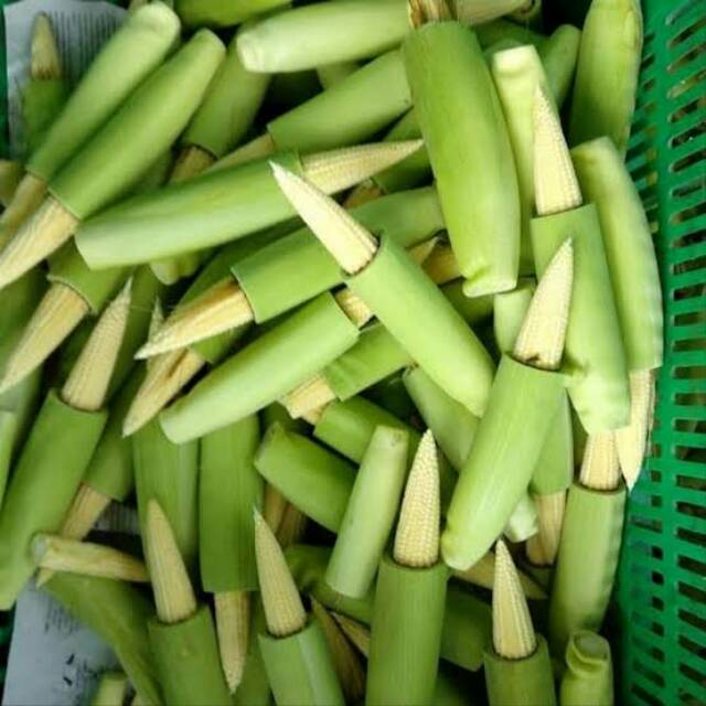 

Jagung muda/jagung putren per pack