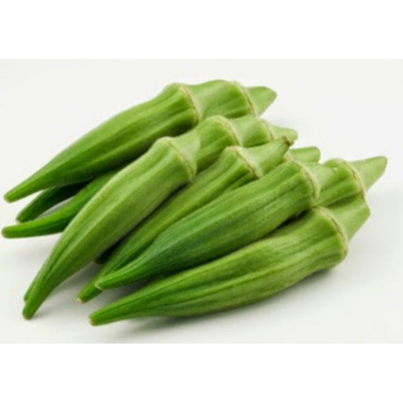 2 biji benih OKRA HIJAU HIBRIDA