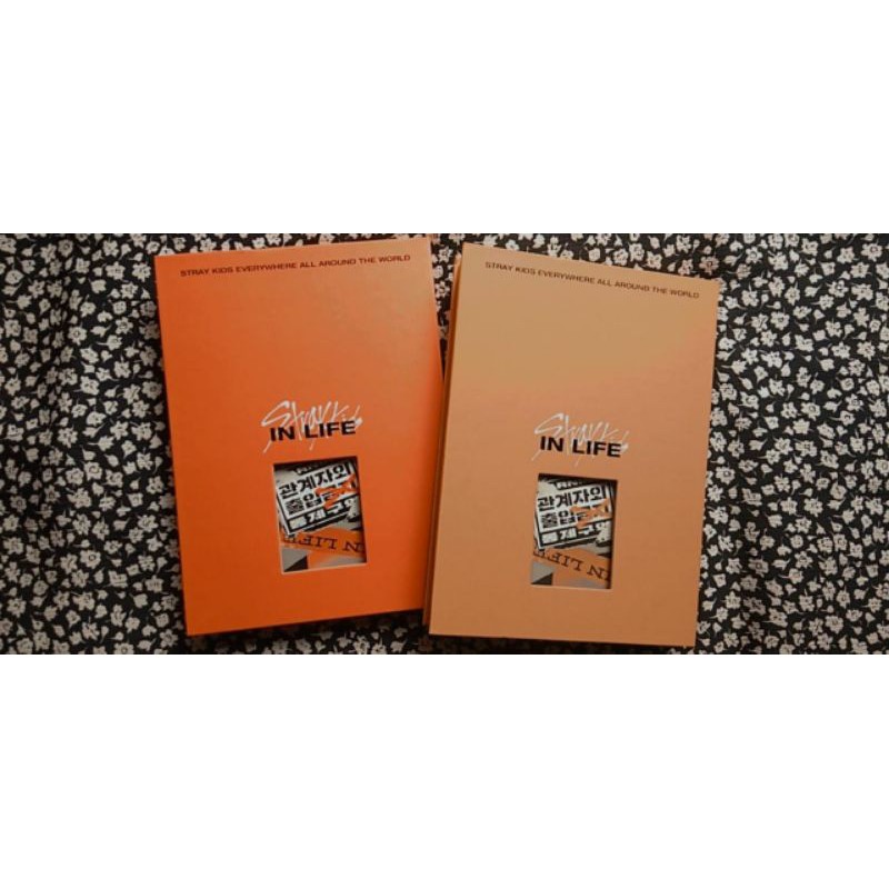 Stray Kids In Life (Album Only)