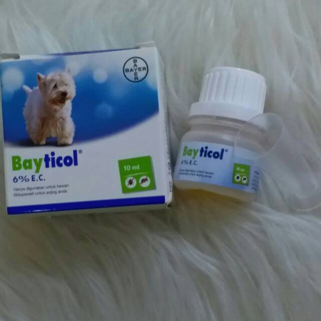 BAYTICOL OBAT KUTU ANJING 10ML
