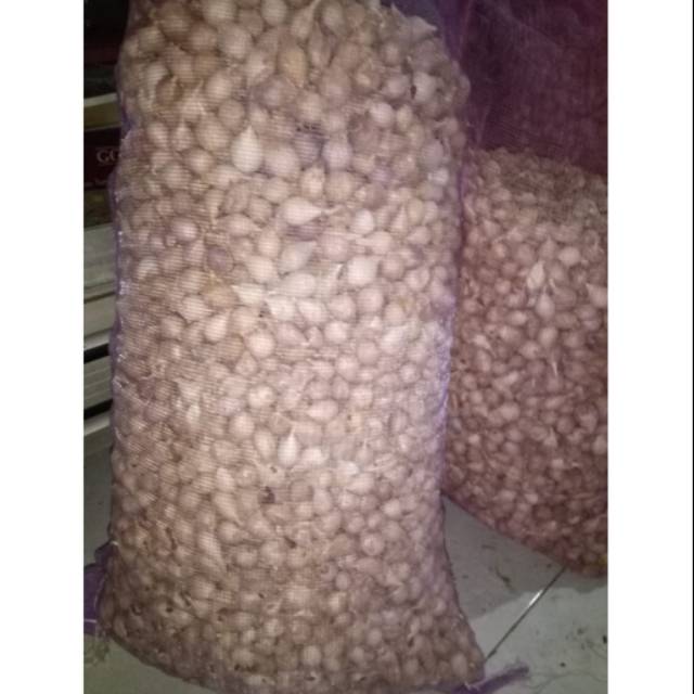 1 Kg Bawang putih tunggal (bawang lanang) lokal super jumbo