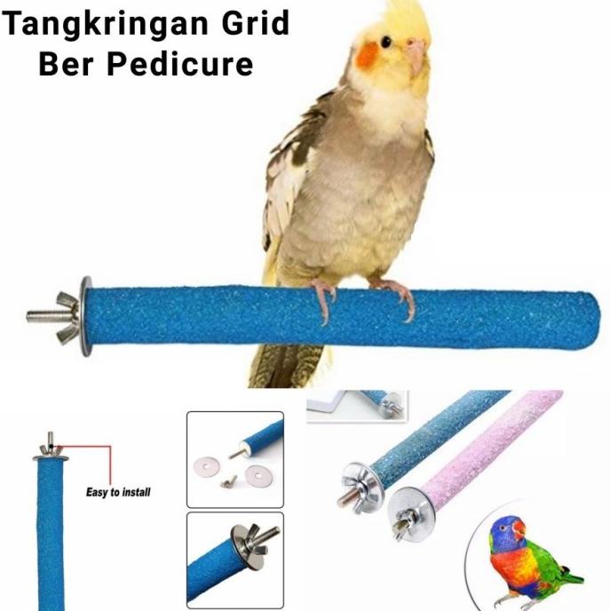 Paling Dicari] Tangkringan Burung Grid Pedicure Bahan Kayu Kikir Menghaluskan Kuku