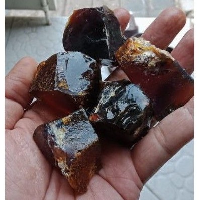 GETAH KATILAYU MANCING MANIA