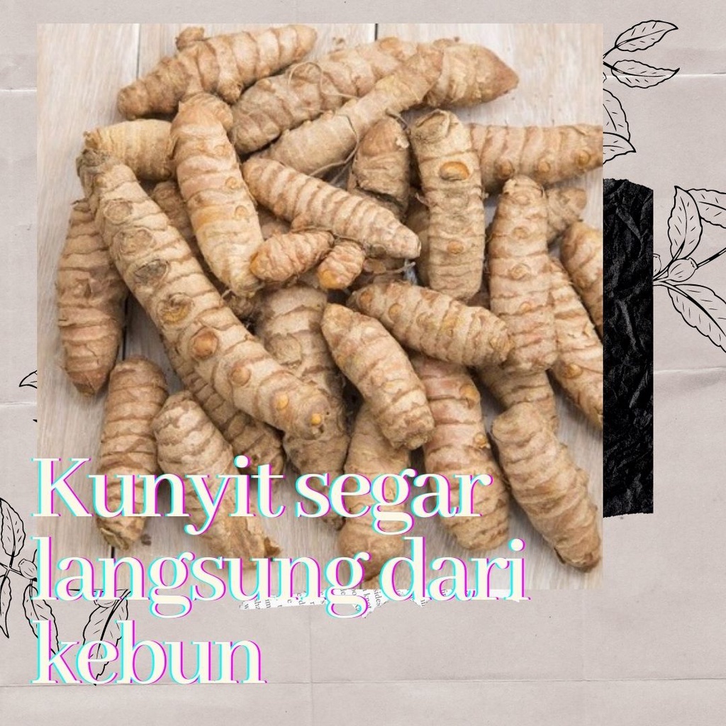

Sekaone Group Cilacap Kunyit segar langsung dari kebun 1kg