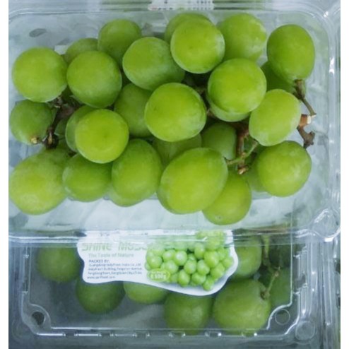 

ANGGUR SHINE MUSCAT GREEN GRAPES FRESH IMPORT PER PACK