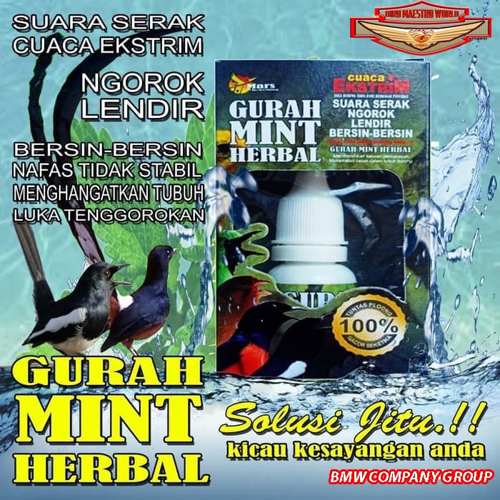 Vitamin Burung Gurah Mint Herbal 10ml