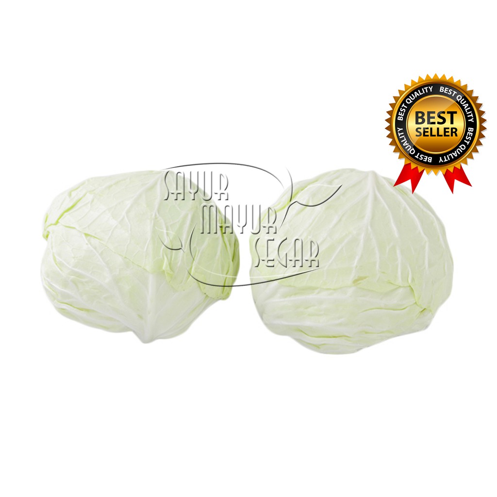 

SAYURMAYURSEGAR SAYUR KOL / CABBAGE / KOL PUTIH SUPER FRESH KEMASAN (SAYUR CURAH)