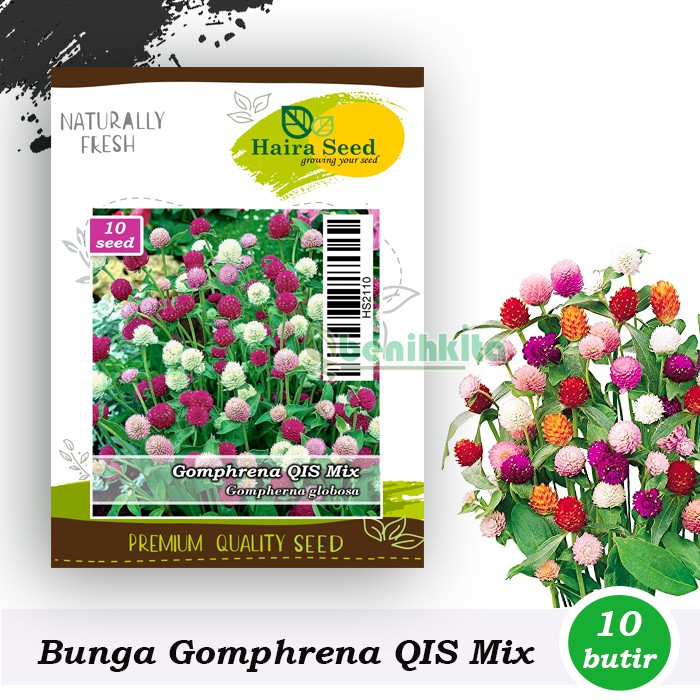 Benih-Bibit Bunga Kancing/Gomphrena QIS Mix (Haira Seed)