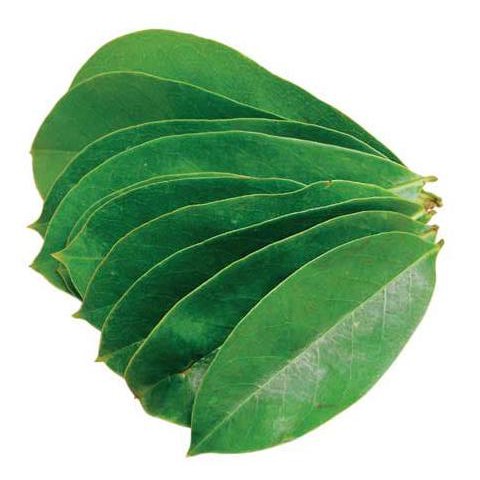 

Dijual Daun Sirsak ( Per Helai ) Murah