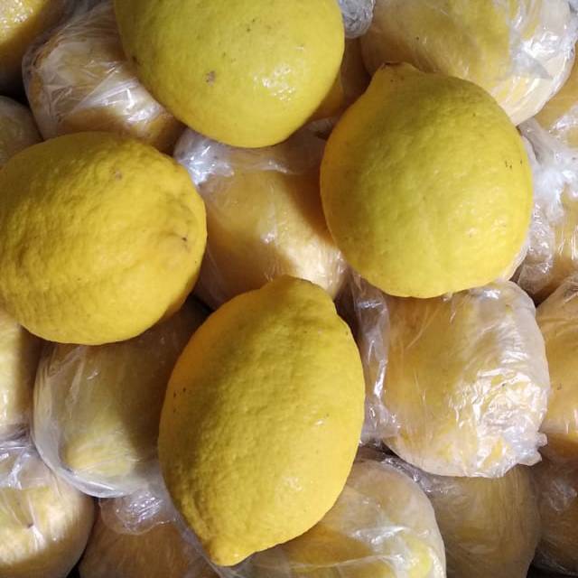 

Buah Fresh Lemon Citrus Import Premium Per Kilo