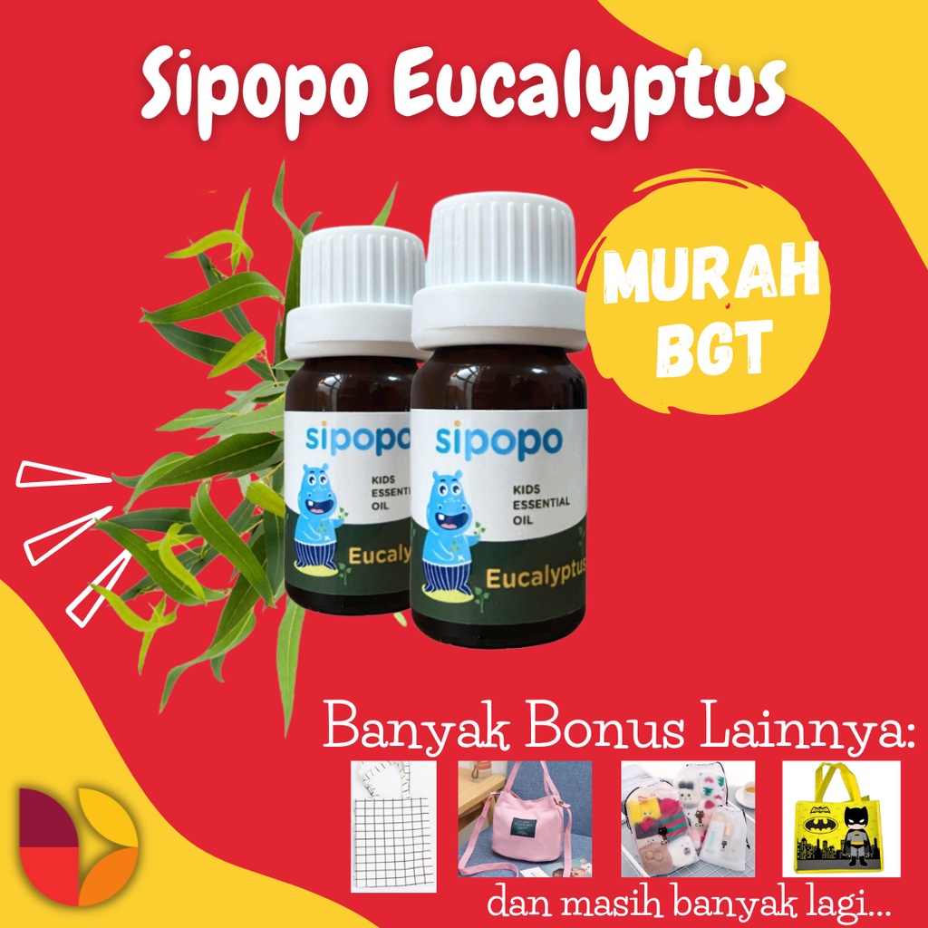 [ASLI] SIPOPO Essential Oil Eucalyptus Kualitas PREMIUM + VCO GRATIS