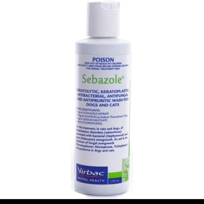 SHAMPO SEBAZOLE 250ML