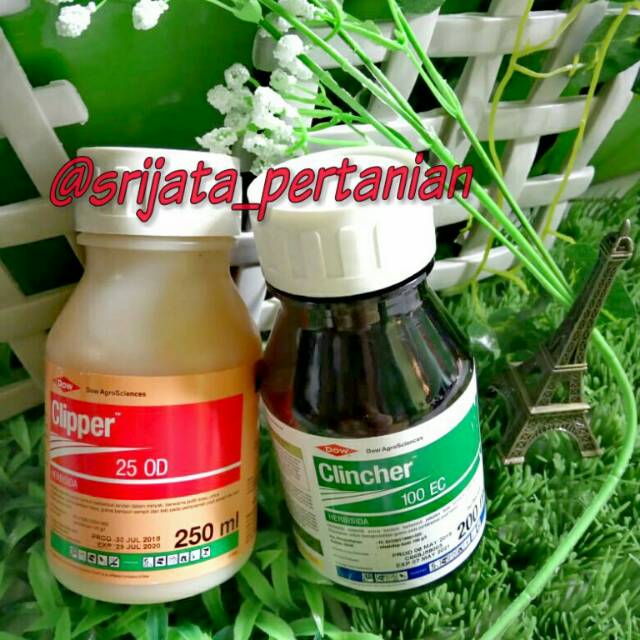 PAKET HERBISIDA CLIPPER 25 OD (250 ml) & CLINCHER 100 EC (200 ml)