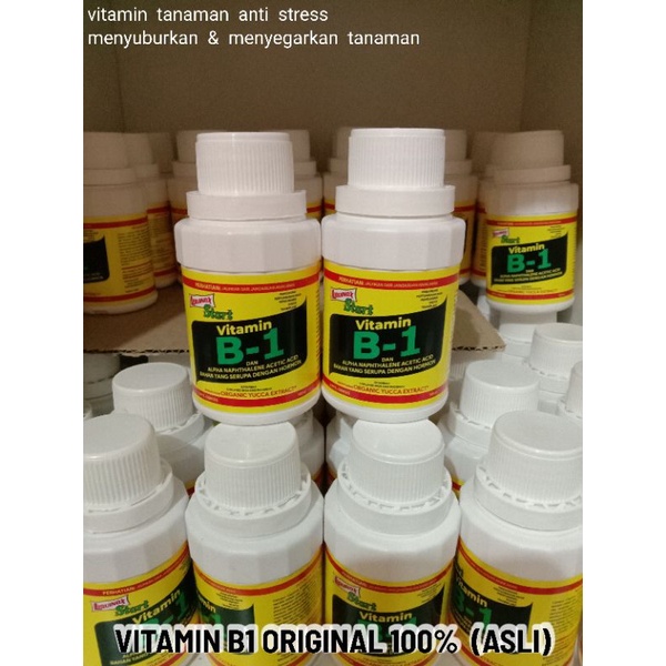 ORIGINAL  Vitamin B1 untuk tanaman anti stres - vitamin B1 LIQUINOX - B1 vitamin