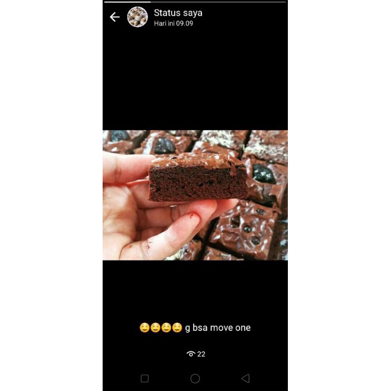 

brownies fudgy shuny crusht