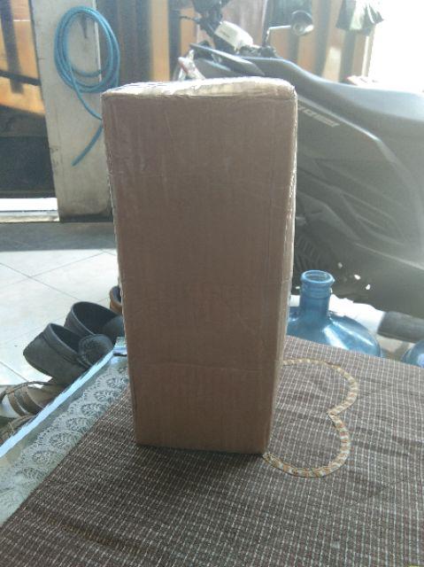 Bibit Bambu Kuning Asli Siap Tanam