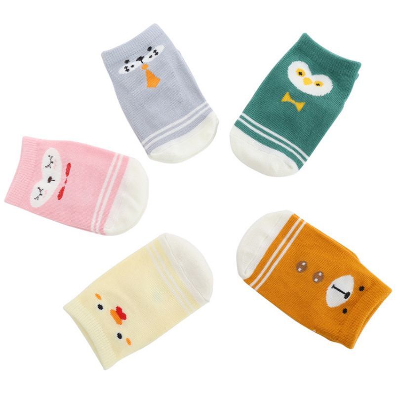 Kaos kaki bayi isi 5 karakter lucu import premium