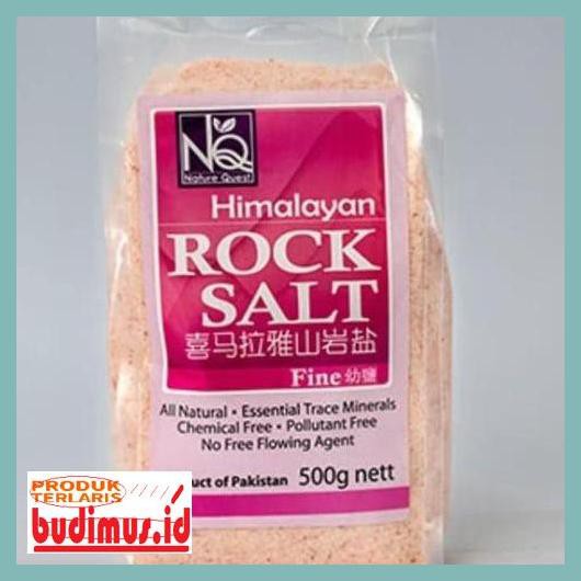 

33Wr4Y5- Garam Himalaya - Himalayan Rock Salt Fine (500G) 66R78T87-