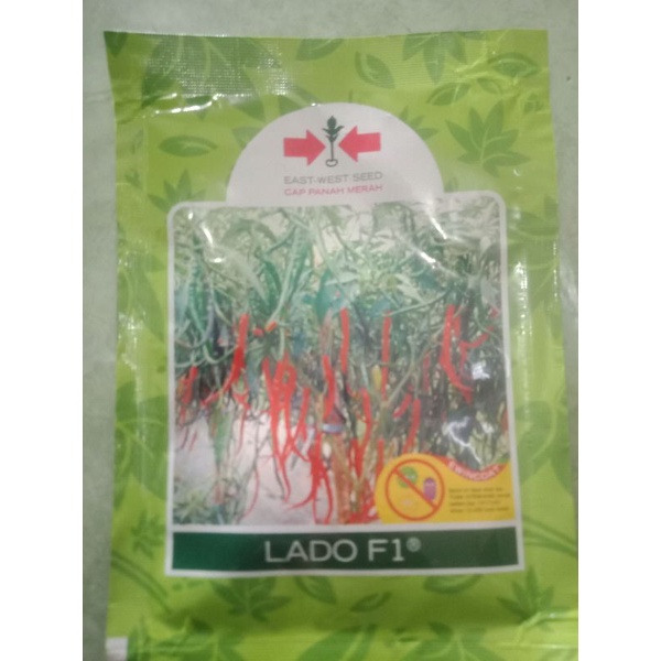 benih cabe lado