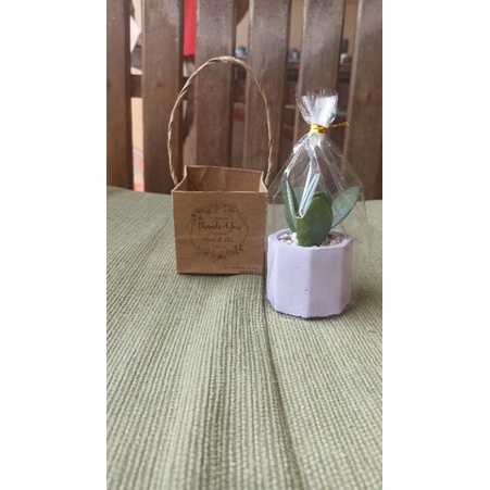 Souvenir kaktus sukulen murah