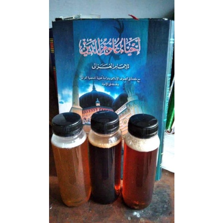 

madu trigona / madu klanceng