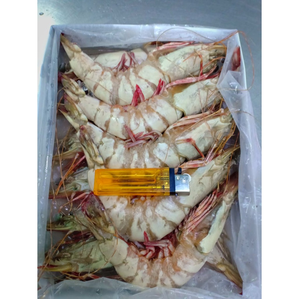 

Udang Flower Frozen (1kg)