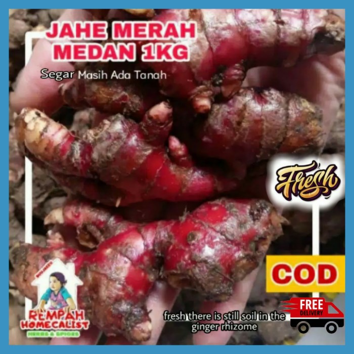 

TRADISIONALMINUMAN- JAHE MERAH MEDAN SEGAR 1KG KUALITAS BAGUS -MINUMAN-TRADISIONAL.