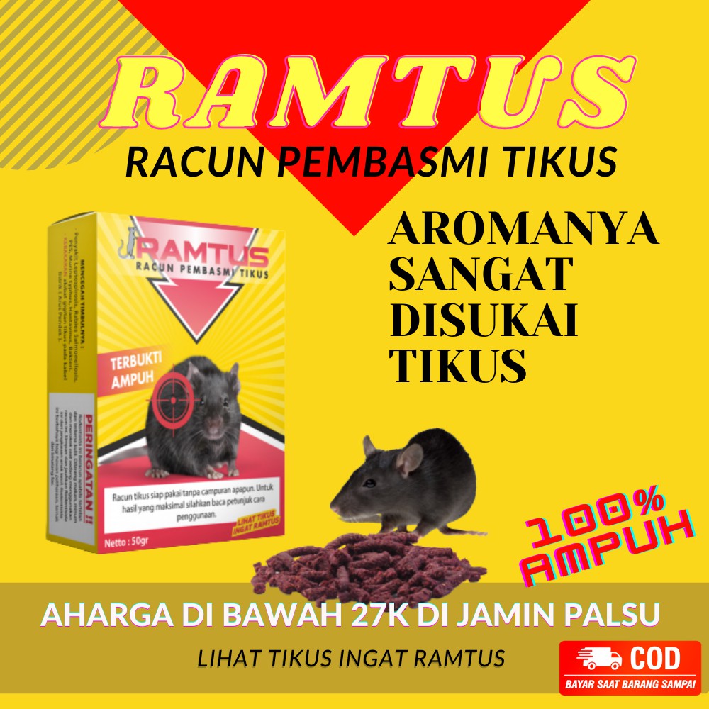 Ramtus Racun Pembasmi Koloni Tikus Paling Ampuh Mati Kering