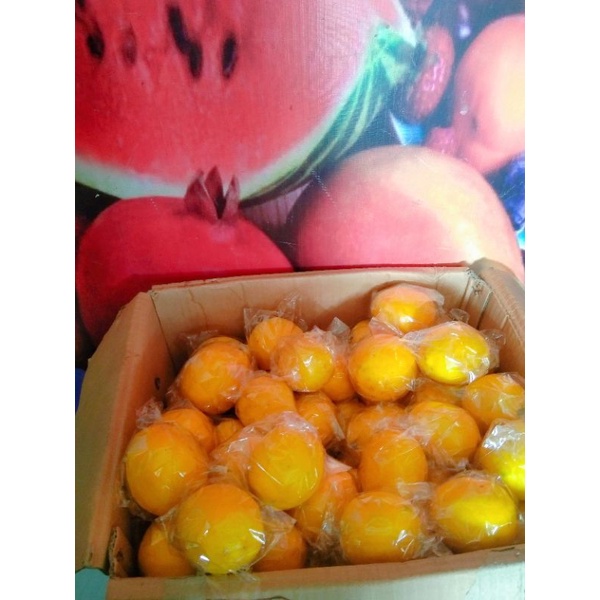 

JERUK LEMON IMPOR (1 PCS)
