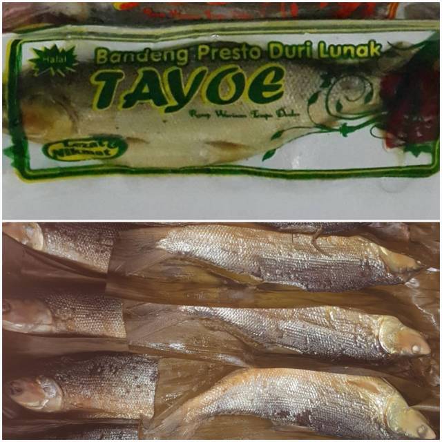 

Bandeng duri lunak Tayoe