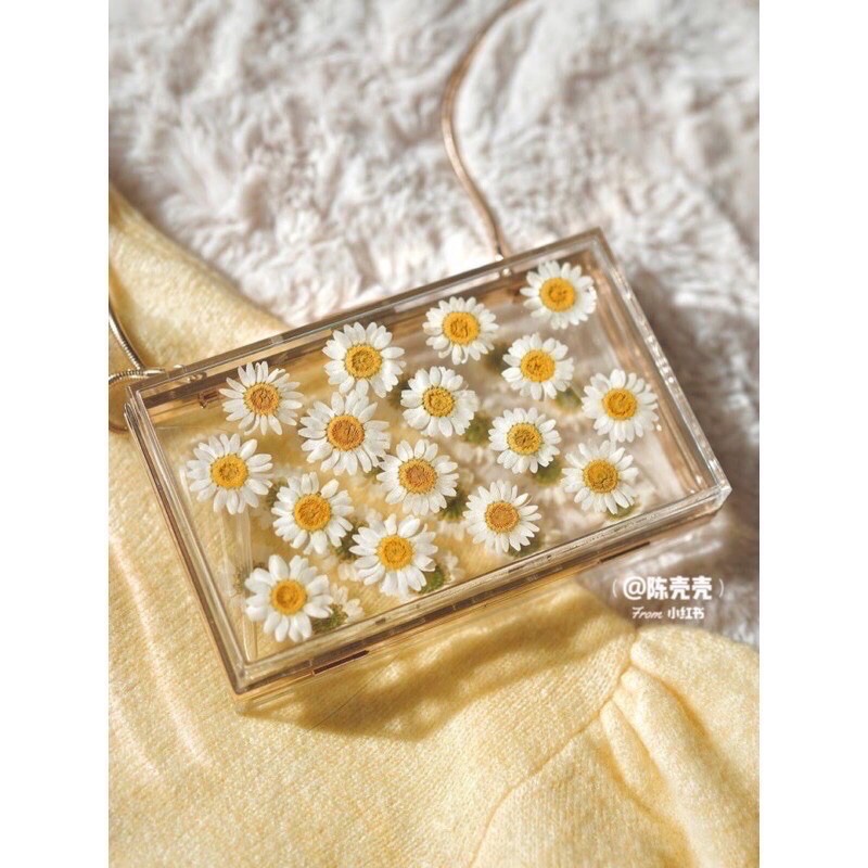 ZARA FLOWER DAISY ACRILIC BAG ORI