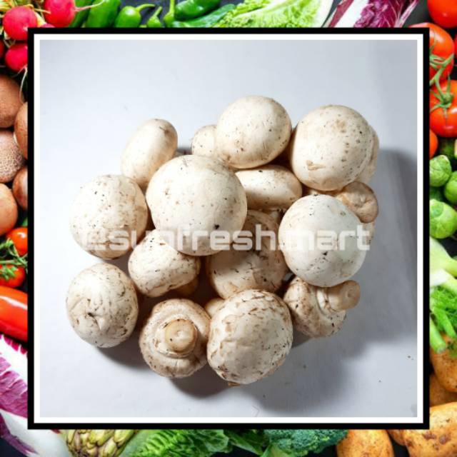 

Jamur Kancing / Jamur Champignon 250 Gram