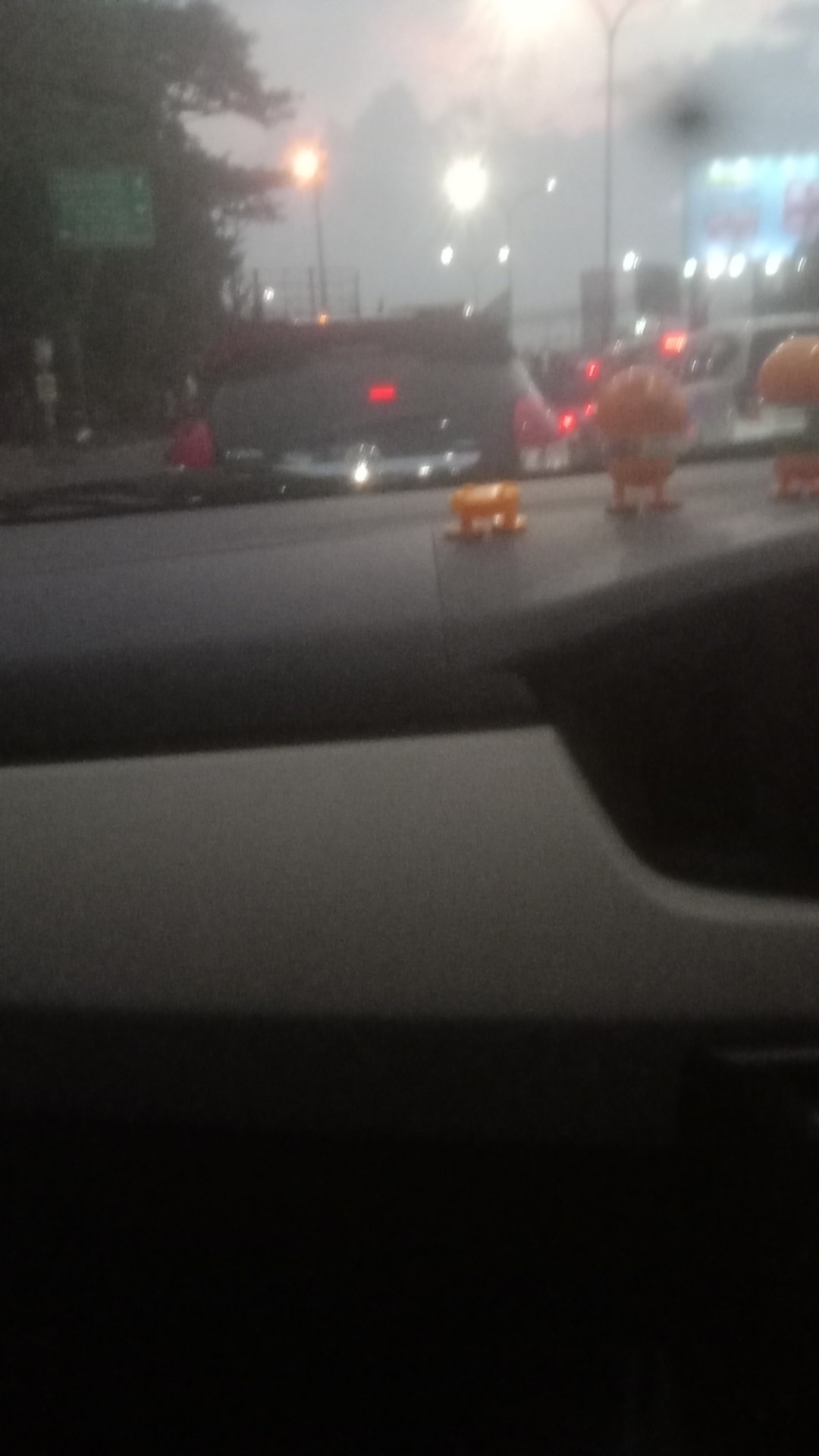 Gelas Melamin Golden Flaying Fishb 0303 Food Grade