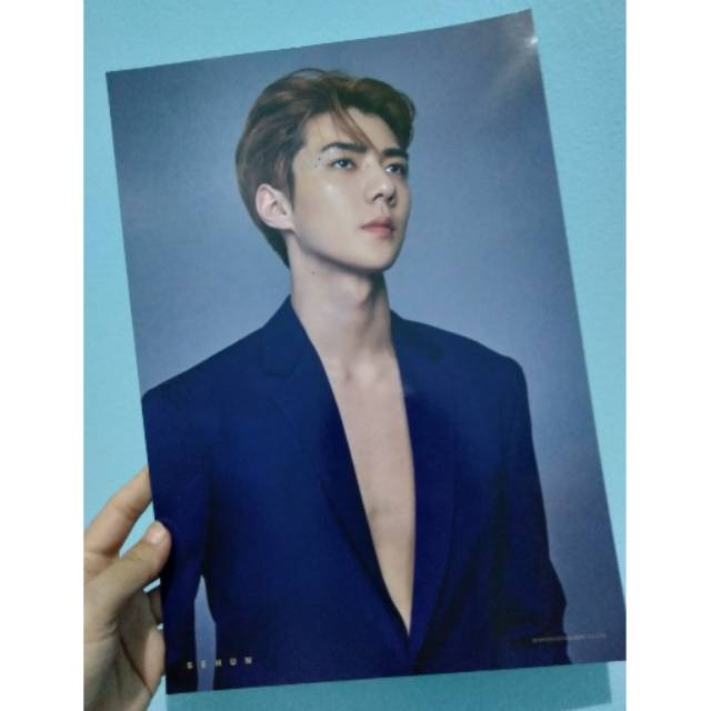 NEGO  SEHUN SET : EXO GREETING SEASON 2019