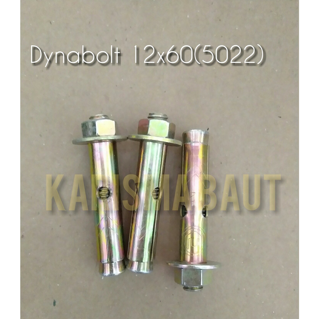 Dynabolt 12x60(5022)