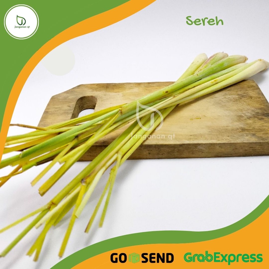 Jual Bumbu Dapur Daun Sereh Daun Sere Daun Serai Daun Serai Segar Gram Shopee Indonesia