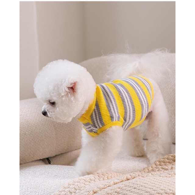 Premium knit doobee bear korea stripe tee